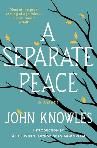 [By John Knowles ] A Separate Peace (Paperback)【2018】by John Knowles (Author) (Paperback) in Saudi Arabia