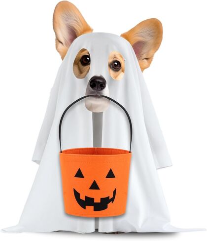 Halloween Ghost Dog Costume Set Dog Ghost Cute Party Cape Milk Fiber Halloween Trick or Treat Party Cosplay White Ghost Costume for Dog Cat, 19.7×27.6 inches (Small) in Saudi Arabia