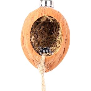 Jumping Spider Hide, A Real Shelter Made of Walnut Skin, Magnetic Hidden Jumping Spider Habitat,Handmade Spider Enclosure Accessories, Jumping Spider Enclosure