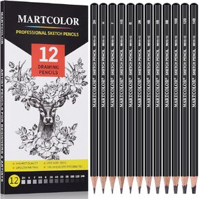 Drawing Sketching Pencil Set, 20 Pieces, Graphite Pencils (14B-4H), Charcoal Sticks, Stump, Eraser, Sharpeners, Ideal for Drawing Art, Sketching, Artist Pencils for Beginners & Pro Artists