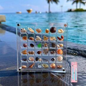 Seashell Display Box, Acrylic Magnetic Seashell Display Box, 36/64 Grid Display Cases for Collectibles, DIY Transparent Seashell Storage Box Display Box, Starfish Trinket Storage (36 Grids)