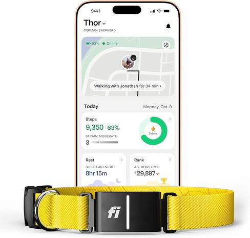 Fi Series 3+ Smart Dog Tracker Collar – 6 Month Membership Included in Kuwait