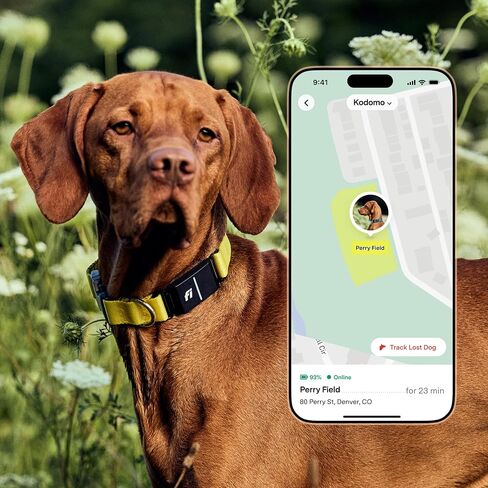 Fi Series 3+ Smart Dog Tracker Collar – 6 Month Membership Included in Kuwait