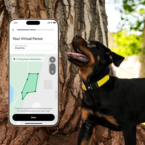 Fi Series 3+ Smart Dog Tracker Collar – 6 Month Membership Included in Kuwait