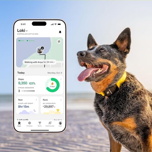 Fi Series 3+ Smart Dog Tracker Collar – 6 Month Membership Included in Kuwait
