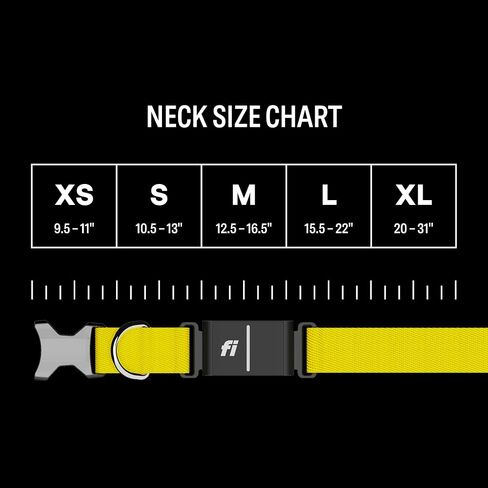 Fi Series 3+ Smart Dog Tracker Collar – 6 Month Membership Included in Kuwait