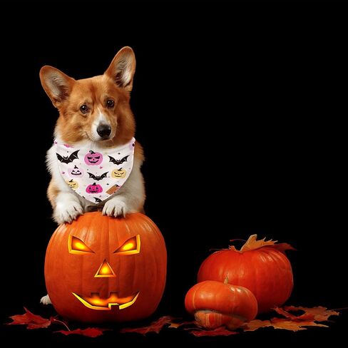 2pcs هالوين الكلب bandanas ghost pumpkin bat triangle pet وشاح قابلة للتعديل جرو العناق in Saudi Arabia