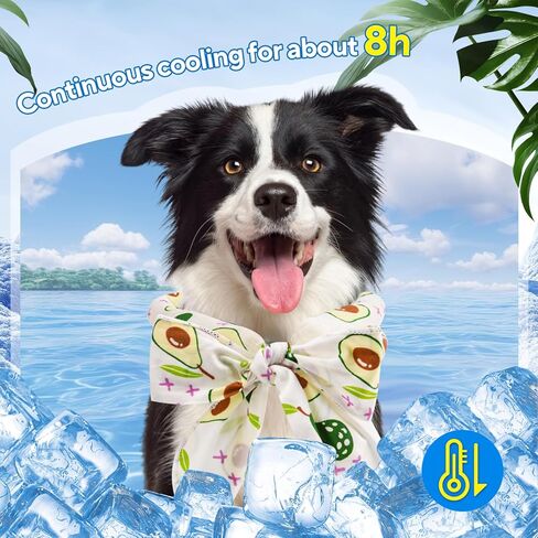 تبريد الكلب Bandanas 3 عبوات - أوشحة الحيوانات الأليفة الفورية القابلة لإعادة الاستخدام لجميع السلالات | ابق هادئًا حتى 8 ساعات | 12+ أنماط أنيقة | لا حاجة للجليد (حجم واحد يناسب أكثر) in Kuwait