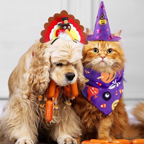 Newcotte 12 PCS Pet Halloween Cat Dog Dog Chimistgiving Christmas Hat Dick Set Pet Holdy Costume Suit Dog Cat Dress Up لعيد الميلاد في عيد الهالوين حفلة تأثيري in Saudi Arabia