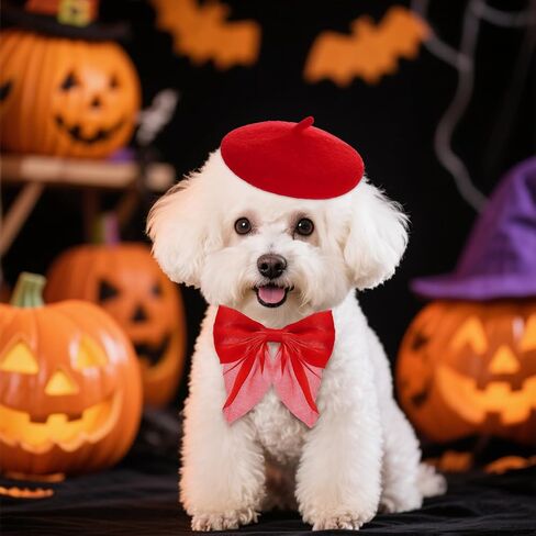 Dog Beret with Cute Bow Collar for Small Dog Cat Funny Artist Dog Hat for Halloween Christmas Birthday Photo Prop Costume (Red) in Saudi Arabia