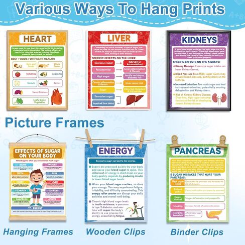gisgfim 12PCS Effects of Sugar on Your Body Posters Sugar Nutrition Education Posters How Sugar Affects Your Body Bulletin Board for Back to School Classroom Teacher Student Nurse Office Kitchen Decor in Saudi Arabia