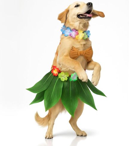 3 PCS Halloween Pets Comples Cog Dog Chore Hawaiian يشمل Hula Dress Bikini Top Flower Lei Boho الرقبة للكلاب الصغيرة المتوسطة جرو الزي الهالوين Cosplay Supply in Saudi Arabia