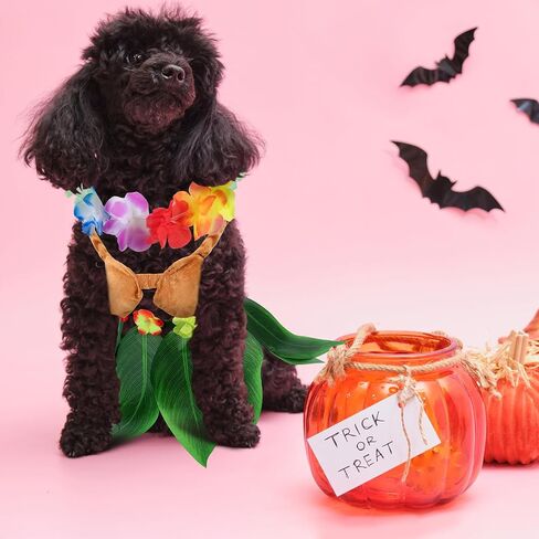 3 PCS Halloween Pets Comples Cog Dog Chore Hawaiian يشمل Hula Dress Bikini Top Flower Lei Boho الرقبة للكلاب الصغيرة المتوسطة جرو الزي الهالوين Cosplay Supply in Saudi Arabia