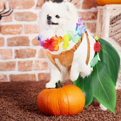 3 PCS Halloween Pets Comples Cog Dog Chore Hawaiian يشمل Hula Dress Bikini Top Flower Lei Boho الرقبة للكلاب الصغيرة المتوسطة جرو الزي الهالوين Cosplay Supply in Saudi Arabia