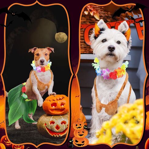 3 PCS Halloween Pets Comples Cog Dog Chore Hawaiian يشمل Hula Dress Bikini Top Flower Lei Boho الرقبة للكلاب الصغيرة المتوسطة جرو الزي الهالوين Cosplay Supply in Saudi Arabia