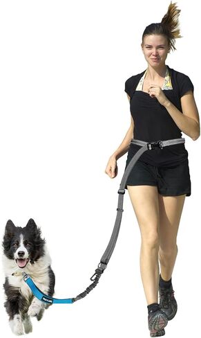 Hands Free Dog Leash & Car Seatbelt-4.8-7.5 FT Bungee Bungee Leash ، 2in1 حزام الكلب الخصر للمشي ، الجري والمشي ، إلخ. in Kuwait
