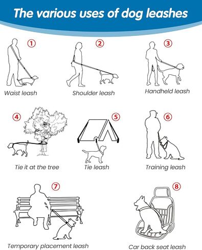 Hands Free Dog Leash & Car Seatbelt-4.8-7.5 FT Bungee Bungee Leash ، 2in1 حزام الكلب الخصر للمشي ، الجري والمشي ، إلخ. in Kuwait