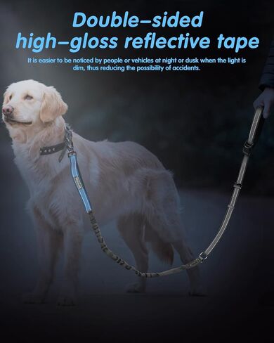 Hands Free Dog Leash & Car Seatbelt-4.8-7.5 FT Bungee Bungee Leash ، 2in1 حزام الكلب الخصر للمشي ، الجري والمشي ، إلخ. in Kuwait