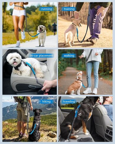 Hands Free Dog Leash & Car Seatbelt-4.8-7.5 FT Bungee Bungee Leash ، 2in1 حزام الكلب الخصر للمشي ، الجري والمشي ، إلخ. in Kuwait