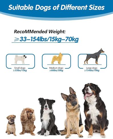 Hands Free Dog Leash & Car Seatbelt-4.8-7.5 FT Bungee Bungee Leash ، 2in1 حزام الكلب الخصر للمشي ، الجري والمشي ، إلخ. in Kuwait