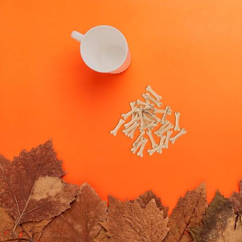 Homoyoyo 30pcs Halloween Miniature Bones Mini Bones Mini Sand Table Decoration Decor in Saudi Arabia