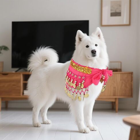 Dog Belly Dancer Skirt ، Bling Belly Dance Hip وشاح لـ Corgis الكلب التفاف مع الترتر من الترتر جرو للرقص الأليفة الأزياء لحفلات عيد الهالوين أداء الاحتفال (الوردي) in Kuwait