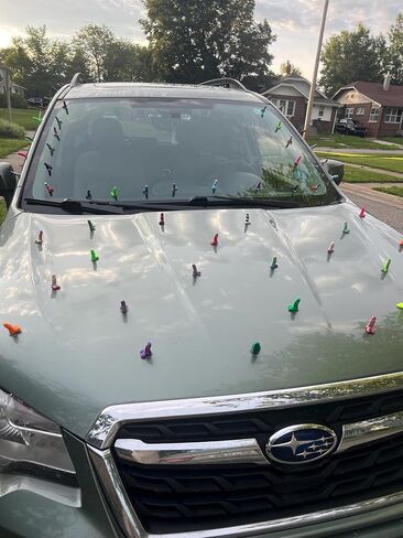 Nice Parking Dicks Prank Gag Gift with Suction Cup (10 Pack) in Saudi Arabia