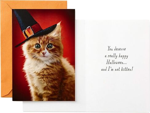 Hallmark Halloween Cards Assortment, Wicked Cat and Pumpkins (8 Cards with Envelopes) in Saudi Arabia