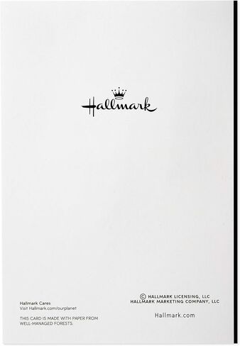 Hallmark Halloween Cards Assortment, Wicked Cat and Pumpkins (8 Cards with Envelopes) in Saudi Arabia