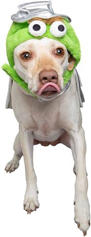 Pet Krewe Oscar كبير الأوسكار The Grouch Dog - يناسب حيوانات أليفة صغيرة ومتوسطة وكبيرة وكبيرة - مثالية للعيد الهالوين ، وعطلة عيد الميلاد ، والحفلات ، والتقاط الصور ، والهدايا لعشاق الكلاب in Kuwait