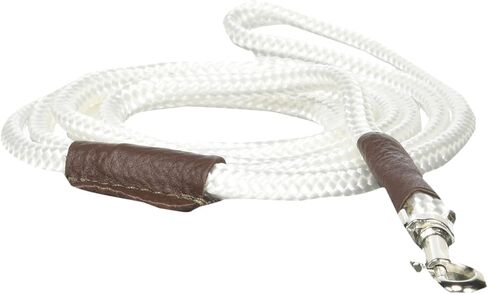 Mendota Pet Show Snap Leash - Dog Lead - Made in The USA - Black, 1/8 in x 4 ft - for Small Breeds in Saudi Arabia