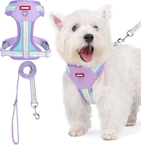No Pull Dog Harness and Leash Set,Adjustable Dog Vest Harness for Small Medium Large Size Dogs,Breathable and Soft Escape-Proof Puppy Harness with 2 Buckles in Saudi Arabia