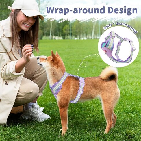No Pull Dog Harness and Leash Set,Adjustable Dog Vest Harness for Small Medium Large Size Dogs,Breathable and Soft Escape-Proof Puppy Harness with 2 Buckles in Saudi Arabia