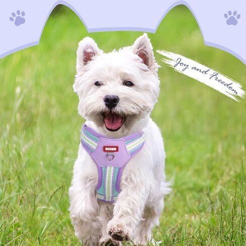 No Pull Dog Harness and Leash Set,Adjustable Dog Vest Harness for Small Medium Large Size Dogs,Breathable and Soft Escape-Proof Puppy Harness with 2 Buckles in Saudi Arabia