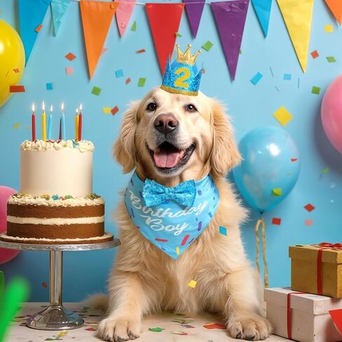 Dog Birthday Party Supplies, Blue Birthday Bandana Scarf, Dog Birthdays Crown Hat and Cute Bow Tie Puppy Pet Celebration Party Accessories with Number Decorations for Small Dogs in Saudi Arabia