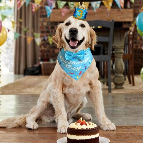 Dog Birthday Party Supplies, Blue Birthday Bandana Scarf, Dog Birthdays Crown Hat and Cute Bow Tie Puppy Pet Celebration Party Accessories with Number Decorations for Small Dogs in Saudi Arabia