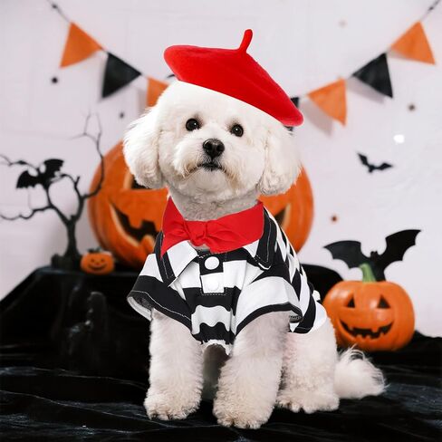 hoyuwak Halloween Artist Small Dog Costume Including Funny Black and White Striped Shirt Red Beret Bandana for Small Puppy Cat Halloween Cosplay Party in Saudi Arabia