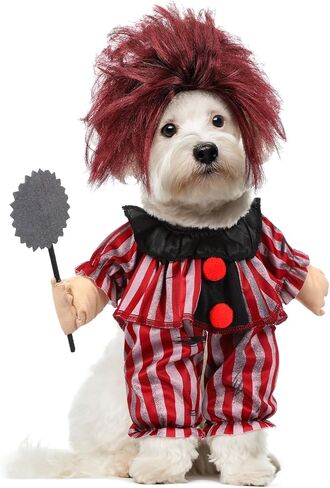 2 PCS Halloween Dog Clown Costume Red Striped Cosplay الزي مع شعر مستعار للكلاب المتوسطة أزياء الحيوانات الأليفة مضحكة لباس هالوين حفلة in Kuwait