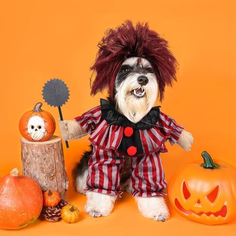 2 PCS Halloween Dog Clown Costume Red Striped Cosplay الزي مع شعر مستعار للكلاب المتوسطة أزياء الحيوانات الأليفة مضحكة لباس هالوين حفلة in Kuwait
