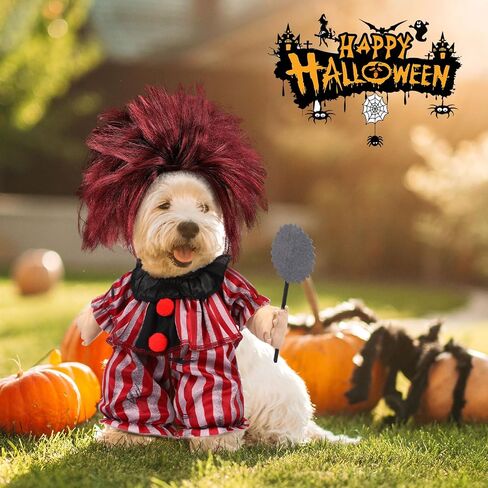 2 PCS Halloween Dog Clown Costume Red Striped Cosplay الزي مع شعر مستعار للكلاب المتوسطة أزياء الحيوانات الأليفة مضحكة لباس هالوين حفلة in Kuwait