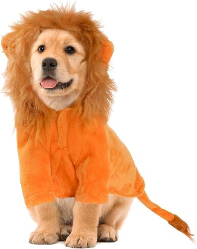 DELIFUR Dog Halloween Lion Costume - Adorable Pet Dress Up Clothes Warmth Cosplay Holiday Coat for Large Dog Funny Outfit Comfort (Orange Lion, Small) in Kuwait