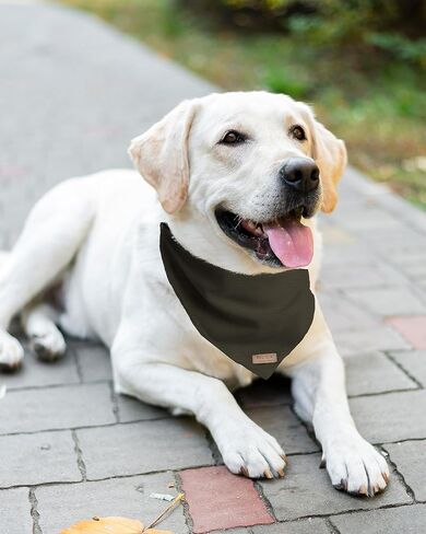Olive Green Corduroy Dog Bandana (Large) in Saudi Arabia