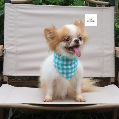 LOPHIPETS Cotton Triangle Bandana for Small Dogs - Stylish and Comfortable Accessory-Yellow/S in Kuwait