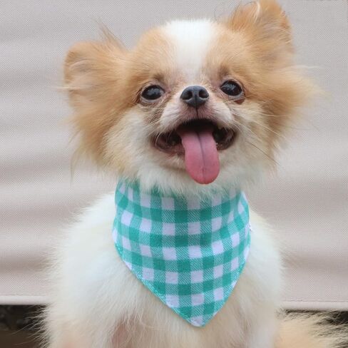 LOPHIPETS Cotton Triangle Bandana for Small Dogs - Stylish and Comfortable Accessory-Yellow/S in Kuwait