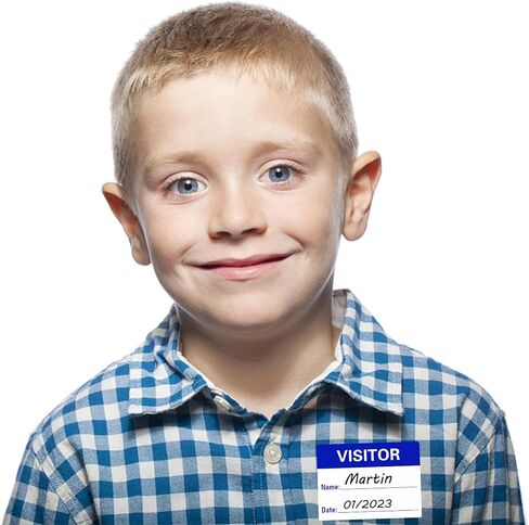 Visitor Pass Labels Name Identification Stickers Writable 2×3 Inch Blue - 300 Stickers Per Roll（10 Rolls） in Saudi Arabia
