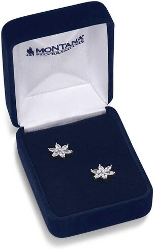 Montana Silversmiths Star Lights Western Princess Earrings - ER2554 in Saudi Arabia
