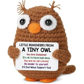Positive Crochet Animals Owl Gifts for Friends Coworkers, Inspirational Cheer Up Gifts for Women Men, Emotional Support Crochet Owl with Little Reminders Card, Christmas Birthday Gift in Saudi Arabia