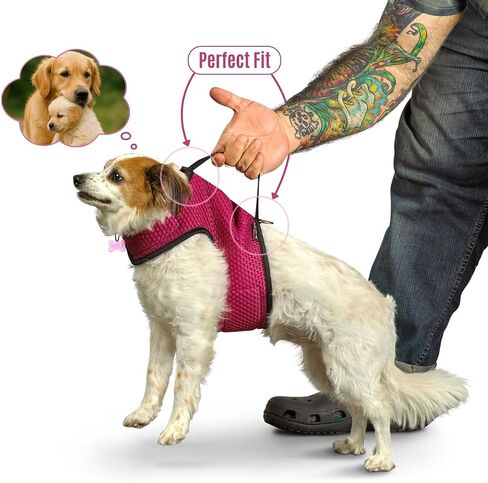 YAP Dog Performance Wrap®; Choke-Free X Small Dog Harness, Anti-Static Dog Harness with Handle for Emergency, Quick-Drying Pink Harness for Small Dogs Compatible with Universal Seat Belt in Saudi Arabia