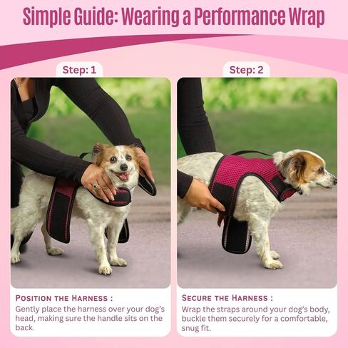 YAP Dog Performance Wrap®; Choke-Free X Small Dog Harness, Anti-Static Dog Harness with Handle for Emergency, Quick-Drying Pink Harness for Small Dogs Compatible with Universal Seat Belt in Saudi Arabia