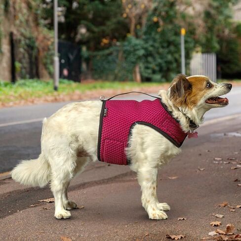 YAP Dog Performance Wrap®; Choke-Free X Small Dog Harness, Anti-Static Dog Harness with Handle for Emergency, Quick-Drying Pink Harness for Small Dogs Compatible with Universal Seat Belt in Saudi Arabia